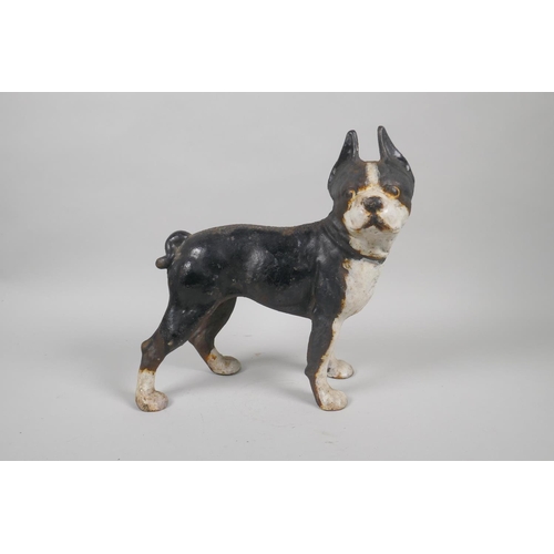 144 - A painted cast iron doorstop in the form of a Boston Terrier, 25cm high