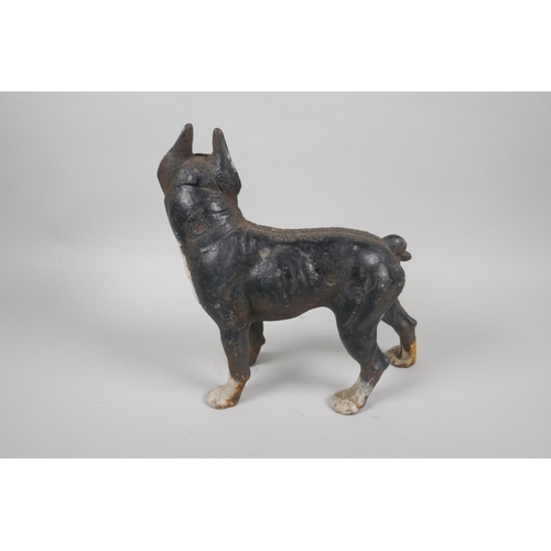 144 - A painted cast iron doorstop in the form of a Boston Terrier, 25cm high