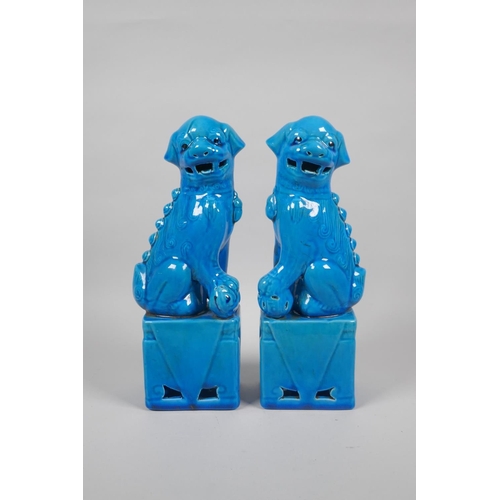 156 - A pair of Chinese turquoise glazed porcelain temple lions, 26cm high