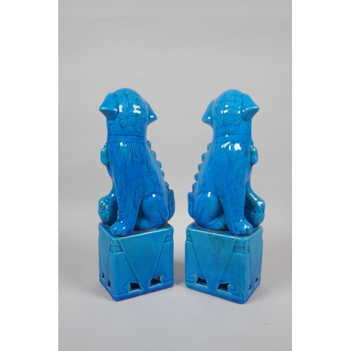 156 - A pair of Chinese turquoise glazed porcelain temple lions, 26cm high