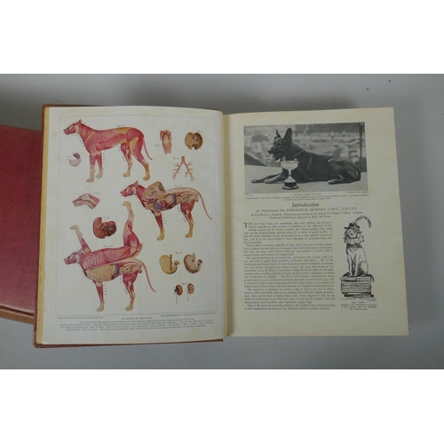 261 - Hutchinson's Popular and Illustrated Dog Encylopaedia in three volumes, 24 x 29cm