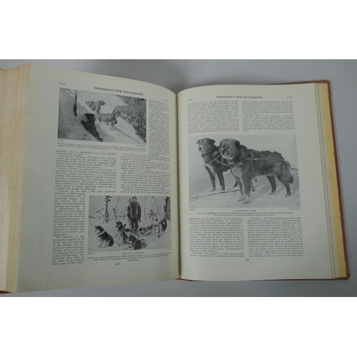 261 - Hutchinson's Popular and Illustrated Dog Encylopaedia in three volumes, 24 x 29cm