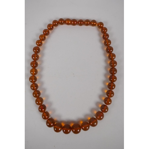 602 - A graduated honey amber bead necklace, 26cm, 55g