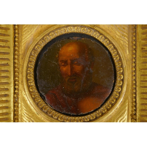 801 - After Rubens, portrait of a saint, C18th/19th oil, 8cm tondo period gilt frame