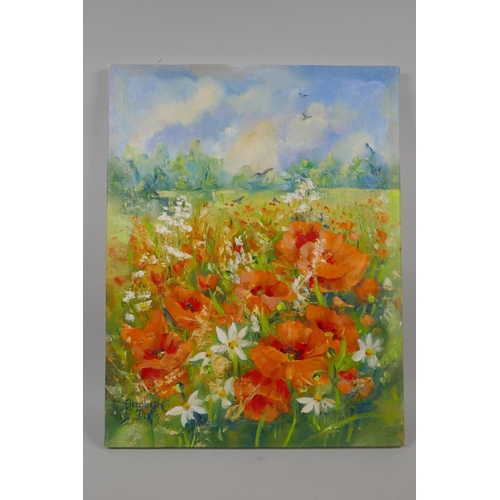 816 - Elizabeth Davis, (British, C20th), Poppy Field, oil on canvas, unframed, 33 x 43cm