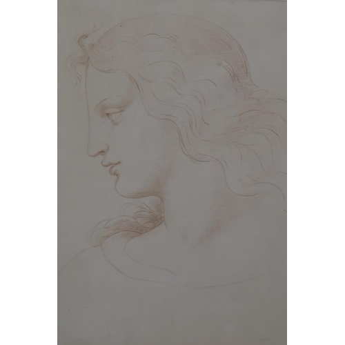 803 - Classical profile, red crayon/sanguine on paper, C19th  continental, unsigned, on paper with do... 