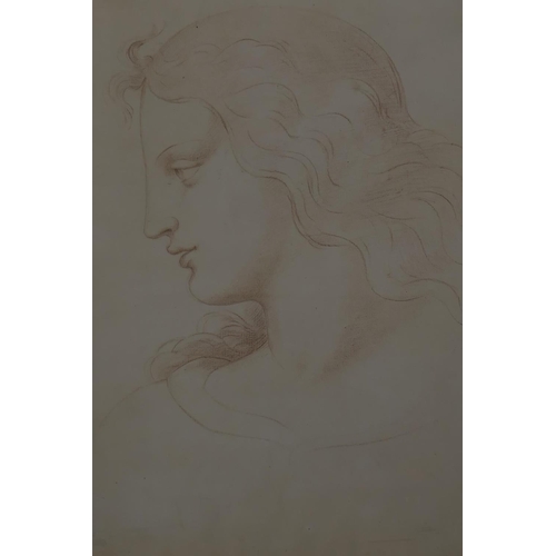 803 - Classical profile, red crayon/sanguine on paper, C19th  continental, unsigned, on paper with do... 