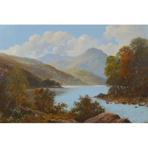 888 - Douglas Falconer, Lake District View, inscribed verso Causey Pike, signed, oil on board, 25 x 35cm