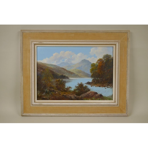 888 - Douglas Falconer, Lake District View, inscribed verso Causey Pike, signed, oil on board, 25 x 35cm