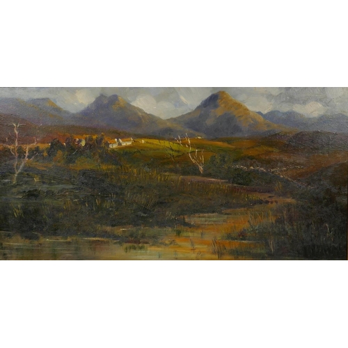 903 - Highland landscape, inscribed verso 'Towards Roag', oil on canvas, 38 x 76cm