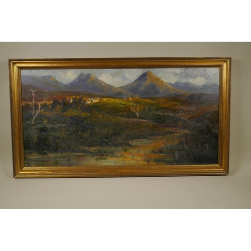 903 - Highland landscape, inscribed verso 'Towards Roag', oil on canvas, 38 x 76cm