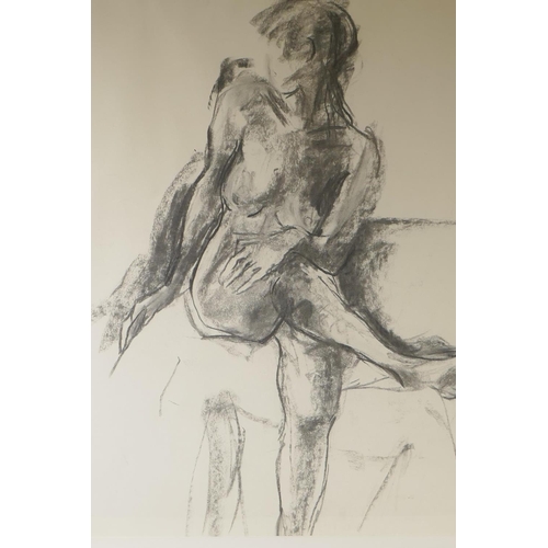 909 - Joanna Brown, two still life studies, charcoal on paper, largest 48 x 62cm