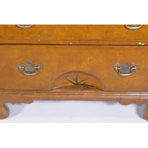 1017 - A Queen Anne style burr walnut dome top bureau bookcase, the upper section with broken arch pediment... 