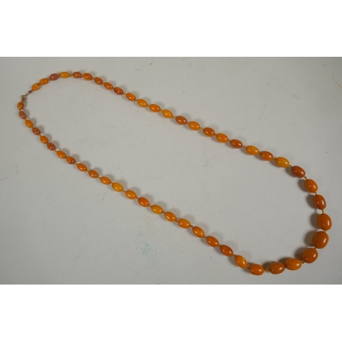 601 - A vintage butterscotch amber bead necklace, 105cm long, 51 graduated beads, largest 23mm, smallest 1... 