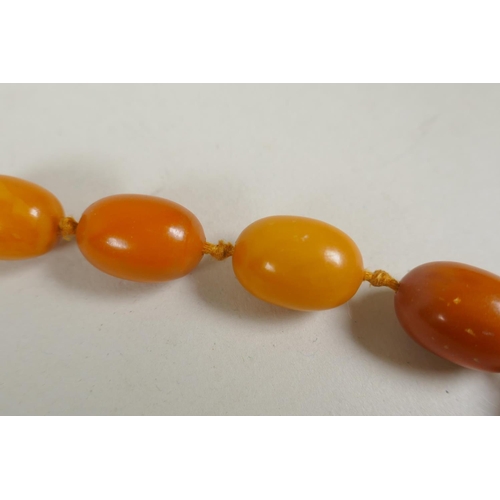 601 - A vintage butterscotch amber bead necklace, 105cm long, 51 graduated beads, largest 23mm, smallest 1... 