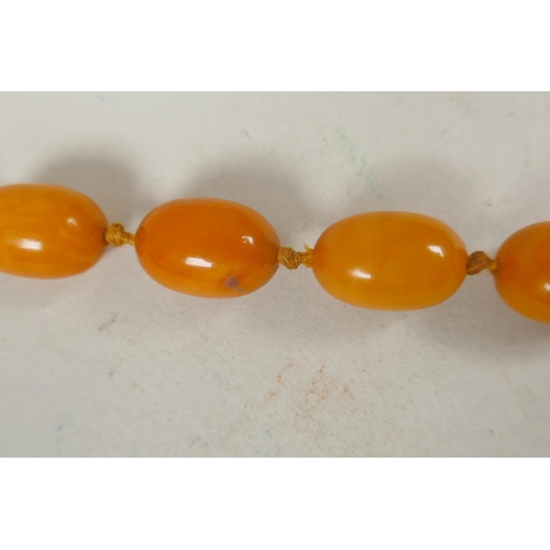 601 - A vintage butterscotch amber bead necklace, 105cm long, 51 graduated beads, largest 23mm, smallest 1... 