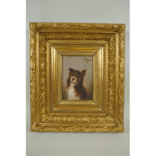 805 - Portrait of a dog, signed K. Zewy?, early C20th oil on panel, in heavy gilt frame, 15 x 11cm