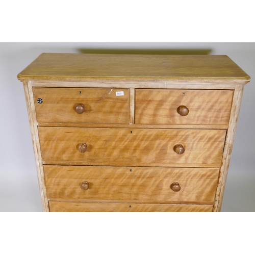 1021 - A Victorian satin birch chest of two over three drawers, 120 x 48cm, 119cm high