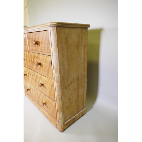 1021 - A Victorian satin birch chest of two over three drawers, 120 x 48cm, 119cm high