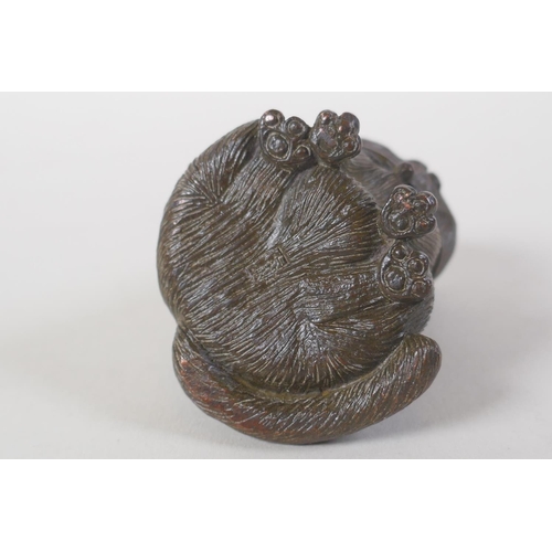 58 - A Chinese bronze cat, 16cm high
