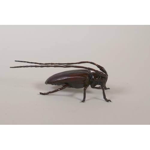 137 - A Japanese style bronze okimono longhorn beetle, 10cm