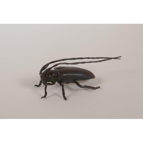 137 - A Japanese style bronze okimono longhorn beetle, 10cm