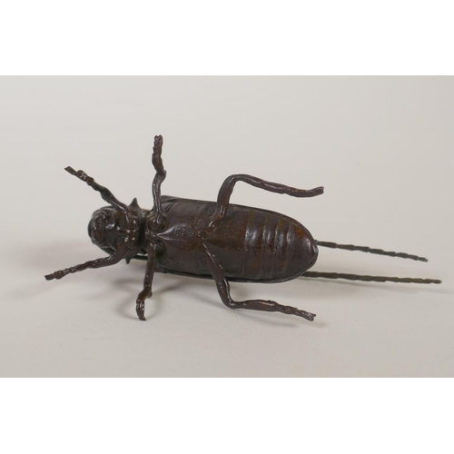 137 - A Japanese style bronze okimono longhorn beetle, 10cm