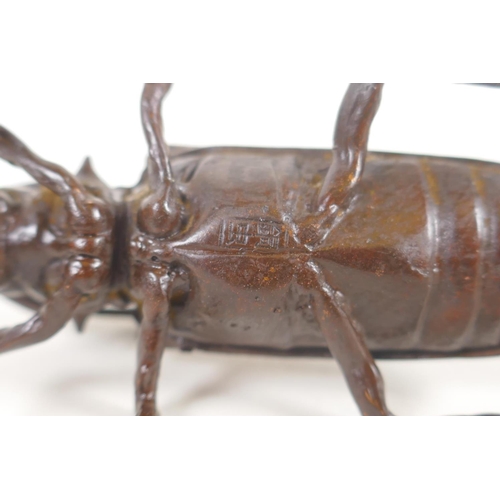137 - A Japanese style bronze okimono longhorn beetle, 10cm