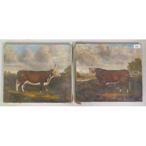 947 - English School, pair of studies of bulls in landscapes, oil on canvas, AF, 37 x 33cm