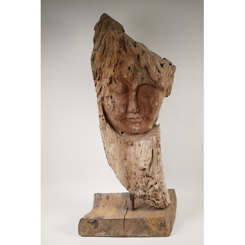 Lot 29        