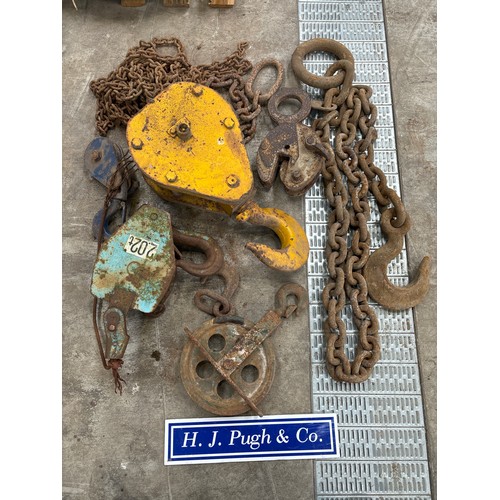 Lot 13        