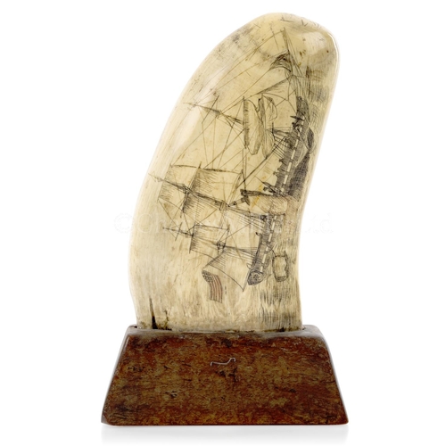 46 - Ø A FINE SAILOR'S SCRIMSHAW DECORATED WHALE'S TOOTH, CIRCA 1840
depicting an American whaler flensin... 