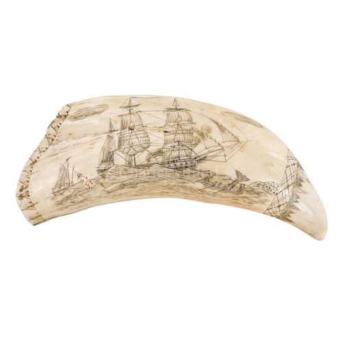 47 - Ø AN AMERICAN WHALER'S SCRIMSHAW DECORATED WHALE'S TOOTH, CIRCA 1850
depicting a busy whaling scene ... 