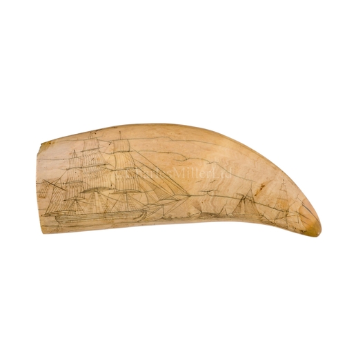 48 - Ø AN AMERICAN SCRIMSHAW DECORATED WHALE'S TOOTH, CIRCA 1840
depicting a whaling scene, a sailor's sw... 