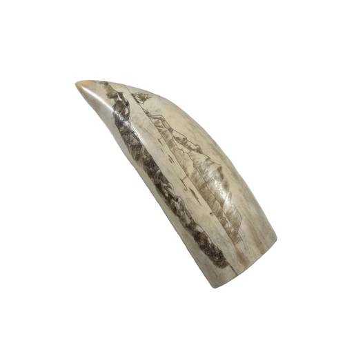 11 - Ø AN EARLY 20TH CENTURY SCRIMSHAW WHALE TOOTH
depicting a panoramic view of a port town, with the su... 