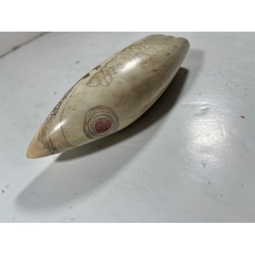 11 - Ø AN EARLY 20TH CENTURY SCRIMSHAW WHALE TOOTH
depicting a panoramic view of a port town, with the su... 