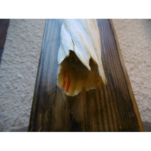 164 -  Ø AN EARLY 20TH CENTURY NARWHAL TUSK (MONODON MONOCEROS)
 a parchment white 68.5in. narwhal tusk wi... 