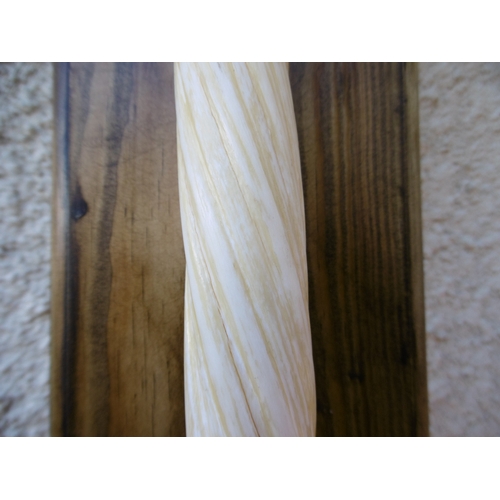 164 -  Ø AN EARLY 20TH CENTURY NARWHAL TUSK (MONODON MONOCEROS)
 a parchment white 68.5in. narwhal tusk wi... 