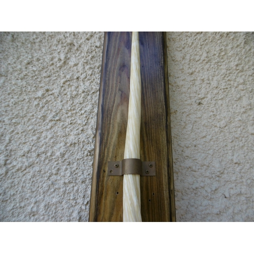 164 -  Ø AN EARLY 20TH CENTURY NARWHAL TUSK (MONODON MONOCEROS)
 a parchment white 68.5in. narwhal tusk wi... 