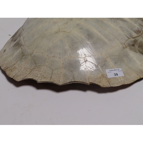 39 - AN EARLY 20TH CENTURY SOUTH AMERICAN RIVER TURTLE CARAPACE
the patinated tone with wooden mounting f... 