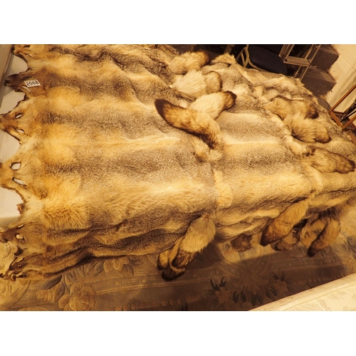 2068 - Thirty six pelt fox skin blanket in very good condition