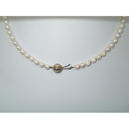 205 - Single strand pearl necklace with a domed circular 9ct and ruby clasp, L: 45 cm
P&P group 1 (£16 for... 