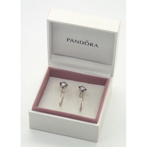 71 - Boxed sterling silver genuine Pandora grey pearl earrings 
P&P group 1 (£16 for the first item and £... 