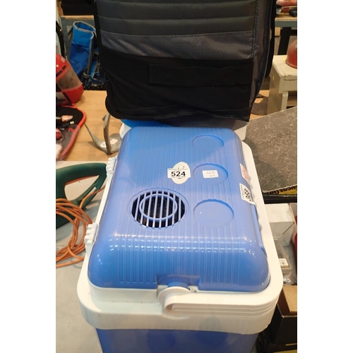 524 - Two portable electric camping cool boxes and a picnic box. This lot is not available for in-house P&... 