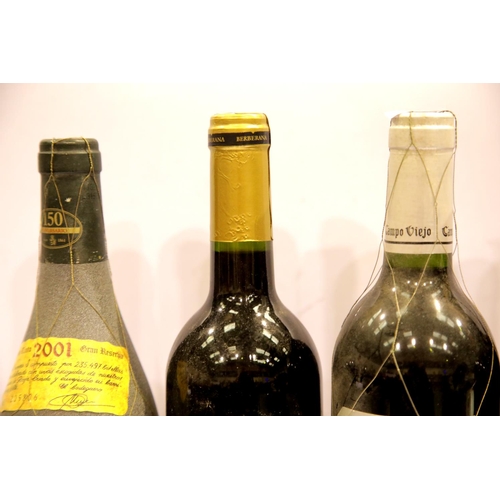 1409 - Ten bottle mixed wines: Campo Viejo Gran reserva 2000 13.5% vol,Berberana Rioja reserva 2006 13.5% v... 