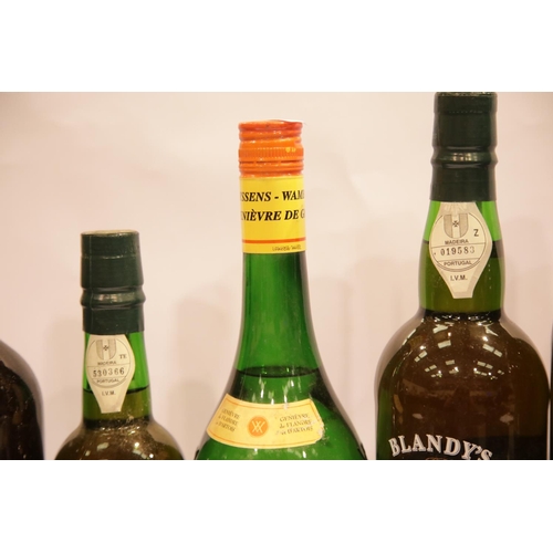 1426 - Six mixed bottles of Madeira, Sherry, Bas-Armagnac etc, and a half bottle Blandy's Duke of Sussex dr... 