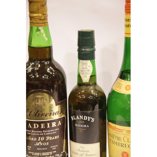 1426 - Six mixed bottles of Madeira, Sherry, Bas-Armagnac etc, and a half bottle Blandy's Duke of Sussex dr... 