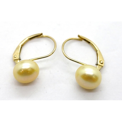 1130 - Pair of 14ct gold pearl set earrings, 1.9g. P&P Group 1 (£14+VAT for the first lot and £1+VAT for su... 