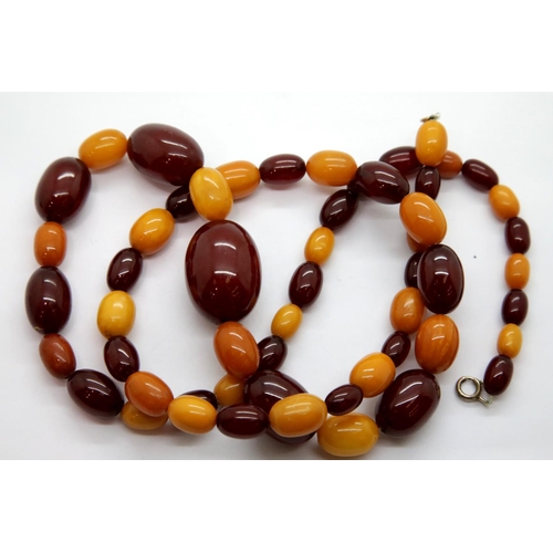 Lot 1205      