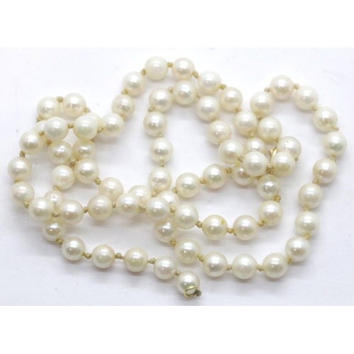 1154 - Single strand of non-nucleated pearls on an 18ct gold clasp, L: 48 cm. P&P Group 1 (£14+VAT for the ... 